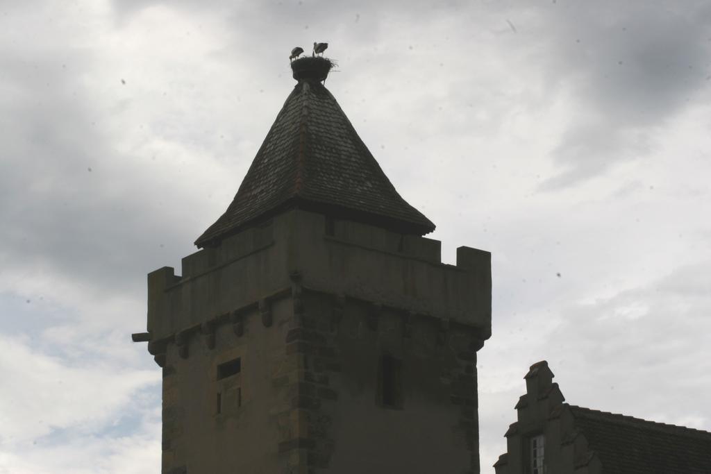 Gite duplex du vignoble Alsace Rouffach Extérieur photo