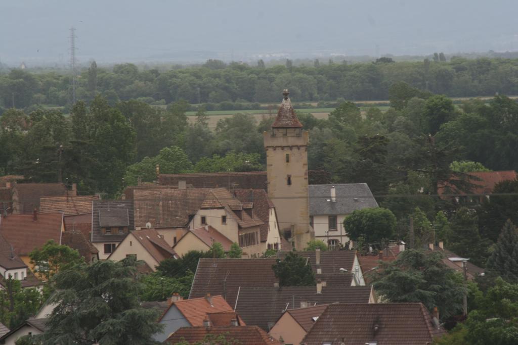 Gite duplex du vignoble Alsace Rouffach Extérieur photo