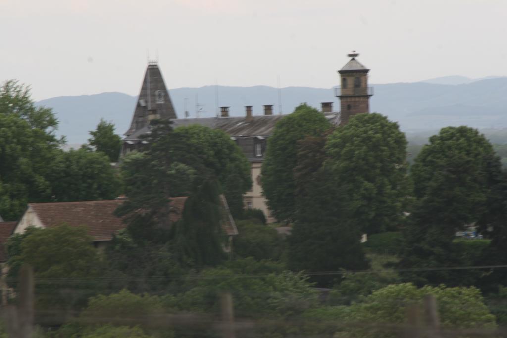 Gite duplex du vignoble Alsace Rouffach Extérieur photo
